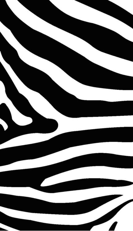 JMA Zebra Beach Towel